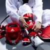 Speciální sportovní obuv – Obuv na taekwondo