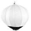 Beiyang Professional Photography Softboxes & Light Stands