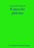 Buch Il Piccolo Pulcino