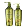 Schwarzkopf Ginger Essence Oil Control Shampoo