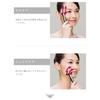 ReFa S CARAT Mikrostrom Gesichtsroller – Authentischer Japanischer Schönheitsmassager von MTG