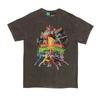 Mighty Morphin Power Rangers Unisex Adult Vintage Wash T-Shirt