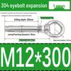 Stainless Steel 304 Eyebolt Expansion Nail with Fixing Loop