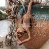 Resin Garden Sculptures Frogs Hedgehogs Turtles Sloths Monkeys Cats Dinosaurs & Hanging Planters Outdoor Decor