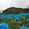 1 Head LED Simulated Solar Lights Waterproof 4 Colors Outdoor Decorative Solar Light Rose Flower Lawn Lamp