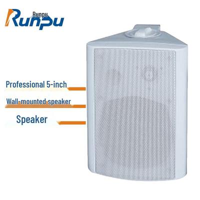 Runpu Professional Wall-Mounted High-Power Speaker (CN Version)