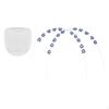 2Pcs Temporary Tooth Decoration with Storage Box for Demonstration Classroom