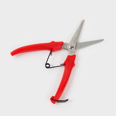 Garden Shears for Cutting Branches