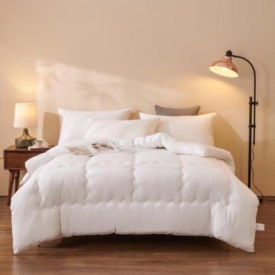 Qi Xi Ai All-Season Brushed Feather-Silk Quilt