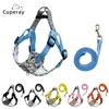 Classic Pet Harnesses Fashion Printed Nylon Dog Harness Vest Reflective Dog Harness Leash Set for Small Medium Dogs Cats French Bulldog