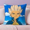 Anime Inazuma Eleven Axel Blaze Pillow Case Pillowcase Ultra Soft Skin Friendly Fabric Cloud Like Comfort & Concealed Zipper