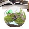 Glass Plant Terrarium Glass Round Terrarium Fish Bowl Plant Flowerpot Vase Air Plant Container Home Decoration Display