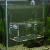 Aquarium Accessory Transparent Separation Box with Suction Cups Compact