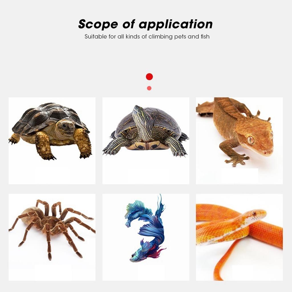 Reptile USB Heat Pad Constant Temperature Without Temperature Heating Mat for Small Animals