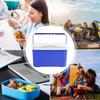 Insulated Coolers 6L Leak-Resistant Insulated Box Ice Cooler With Handle For Outdoor Automotive Car Camping Hiking Travel Gym