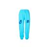 Sporthose mit Bündchen und Buchstabendruck Damen Hose Hellblau DV8089-416