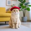 Fashionable Cat Beret Hat Cute Pet Headwear Durable Cat Sunscreen Hat  For Cat Dog