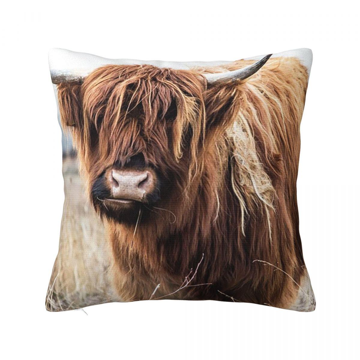 

Adorable Highland Cow Square Pillowcase Cushion Cover Pillow Case Throw Pillow Cover for Home Bedroom Car 12x12Inch