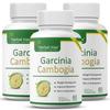 Herbal Max Garcinia Cambogia Capsule With 60% Hca | 60 Capsules 100gm 0.2lbs Each Pack Of 3