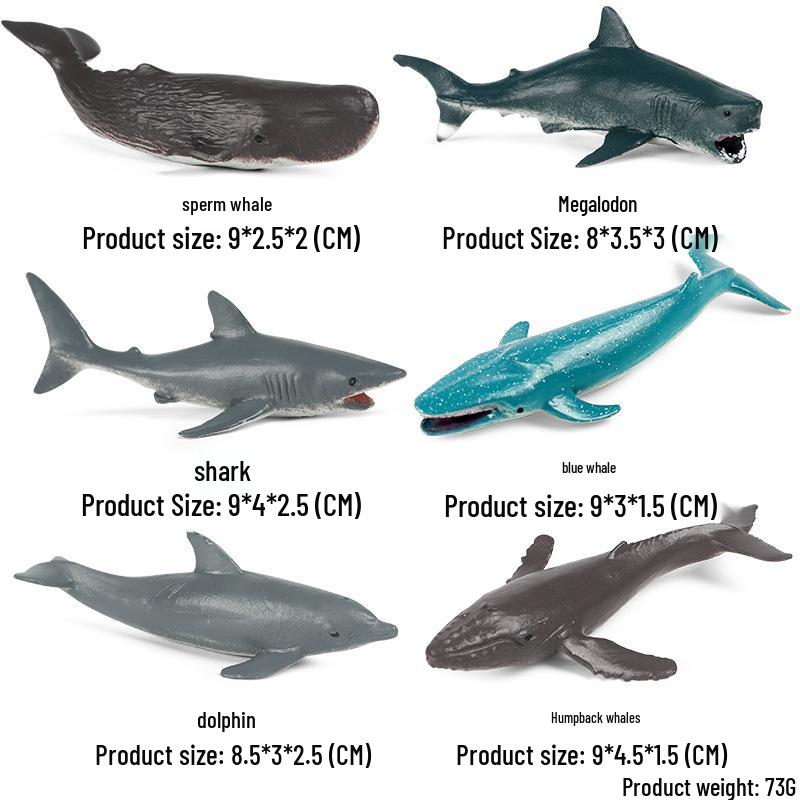Children's Cognitive Marine Animal Models: Sea Turtle and Tortoise Toys