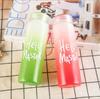 New Design Portable Multi-Colored Advertising Gift Cup Frosted Glass Water Bottle
