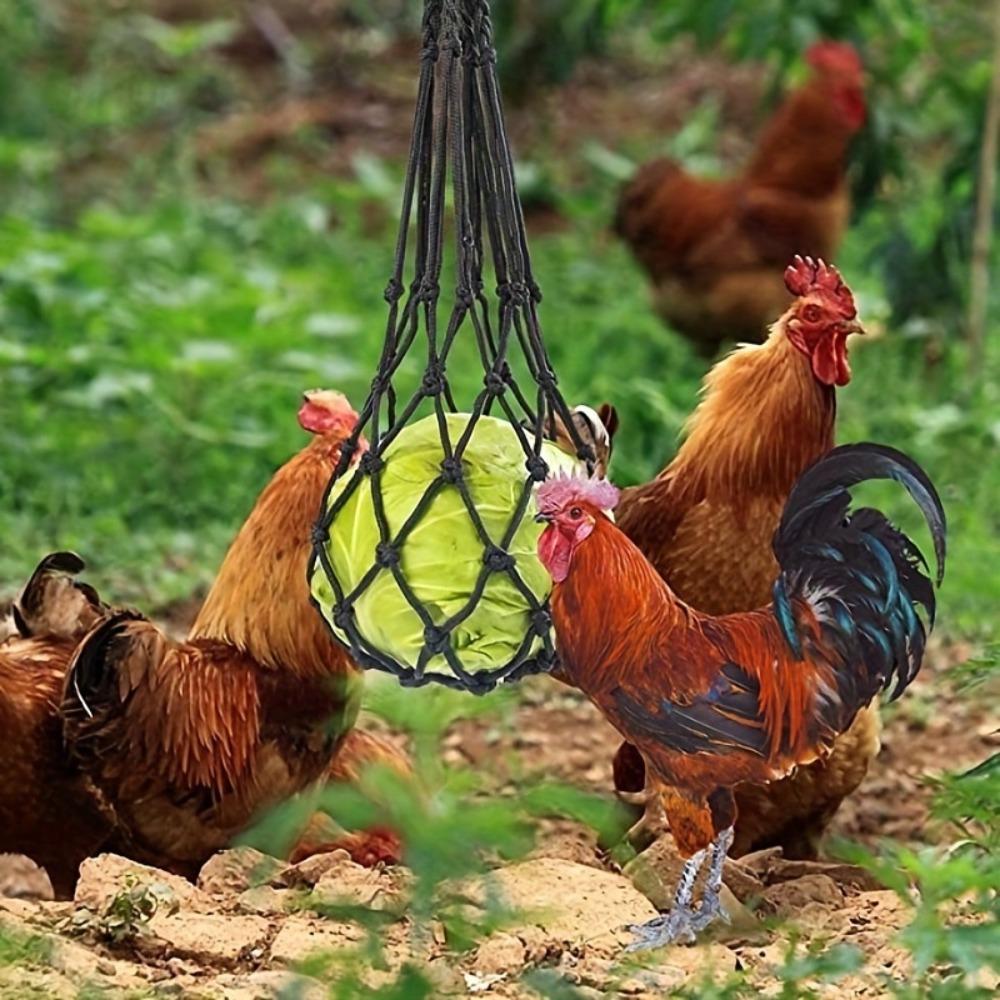 Practical Polyester Mesh Design Chicken Feeding Bag Easy Install Hanging Type with Hook Reusable Feeder Chicken Duck Supplies