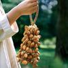 Coconut Shell Oleander Wind Chime Fruit Shell Handicraft Wind Chime Ethnic Style Window Decoration Exotic Household Goods