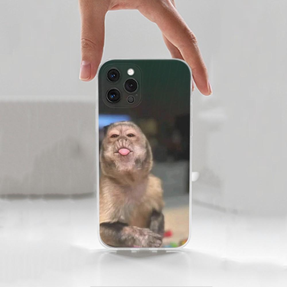 

Милый забавный чехол-обезьянка для iPhone 16,15,14,13,12,11 Plus,Pro,Max,XR,XS,X,7,8 Plus,SE,Mini,Прозрачный,Силиконовый чехол iPhone12mini