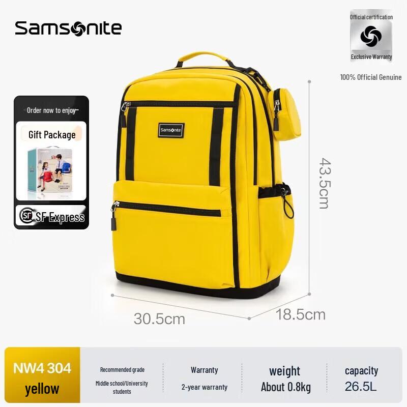 Samsonite NW4 Casual Laptop Backpack