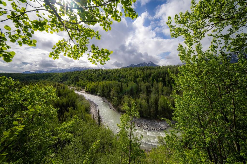 LAOWA 12mm Lite FF Angle Manual Focus Lens for Mirrorless Cameras F2.8 Zero-D L-Mount Ultra-Wide (LAO0827)