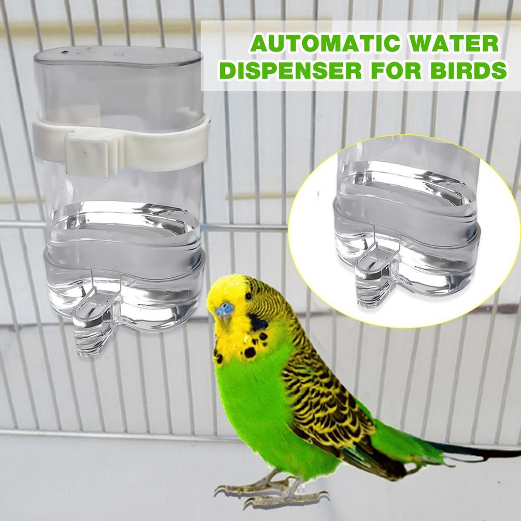 Automatic drinking fountain transparent Leakproof Bird Feeder large wren starling feeder Pet Accessories for Cockatiels Finches