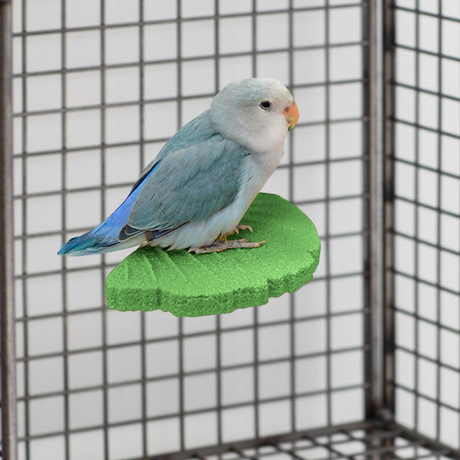 

Ginkgo Leaf Parrot Perch Paw Grinding Stick for Conures Macaws Lovebirds зелёный