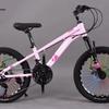 Phoenix Kids Variable Speed Mountain Bike