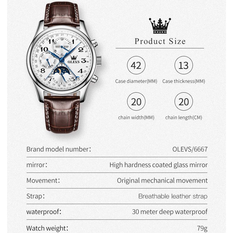 OLEVS Original Men's Automatic Wristwatch Moon Phase Calendar Waterproof Stainless Steel Leather Strap Mechanical Watch for Men