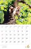 Calendar 2023 Shiba Inu (Month Flip/wall Hanging) (Yamakei Calendar 2023)