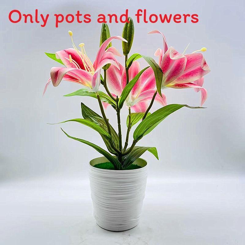 Brownii Lilium Var Viridulum Baker Potted Plant For Living Decor Room
