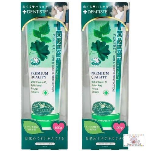 Bulk Purchase (2 packs) Dentis Normal Mint Toothpaste, 100g (Includes Original Thank You Card)