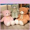 Teddy Bear Plush Toy Panda Stuffed Animal With Pp Cotton For Gift Giving Special Characters Included