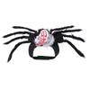Realistic Cat Spider Outfit Skull Face Design Pet Spider Costume  for Prank Prop