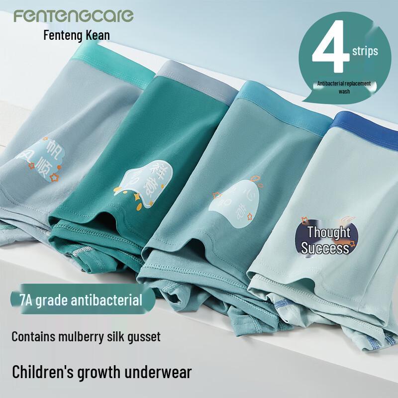 FENTENGCARE Youth Boys  Cotton Boxer Briefs Multi-Pack 170 (L)