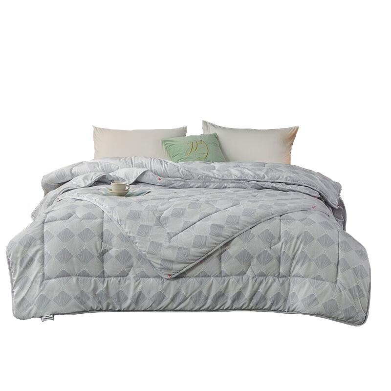 Hengyuanxiang Xinyue All-Season Duo Quilt