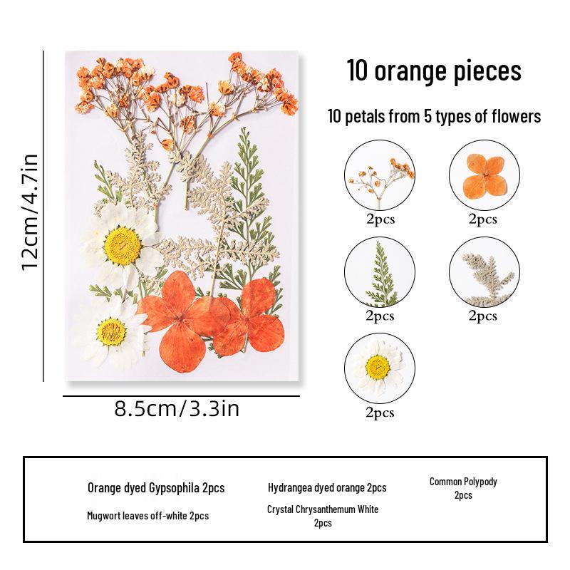 DIY Dried Flower Specimen Sticker Set for Kids: Handmade Pressed Flower Frames & Resin Bookmark Craft Kit