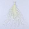 100Pcs DIY Ostrich Feathers Ribbon Tassel Loose Plumas Decorativas  for Clothes Decoration