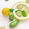 Meyve ve Sebze Araçları – Limon Sıkacakları ve Sıkacaklar