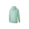 PUMA Sweatshirts Men's Verdant Green Hooded Moderate Regular 595907-32