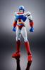 TAMASHII NATIONS Soul of Chogokin Machine Robo Baikanfu GX-39R (Renewal Version)