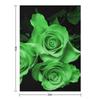 Rose Garden Green Throw Blanket Beautifuls Flannel Fabric Vintage Softest Blankets