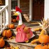 23-Zoll Veranda-Outfit - Thanksgiving Rustikales Kostümset für Dekoration ( Nicht enthalten)