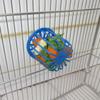 Basket Fruit Vegetable Holder Cage  Accessories Pet Bird Parrot Feeder Hanging Basket Container