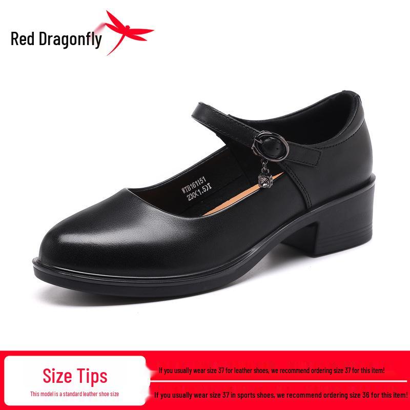 Red Dragonfly Women's Genuine Leather Mary Jane Loafers - Chunky Heel, Shallow Cut, Perfect for Spring and Autumn.